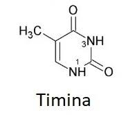 Resultado de imagen para acido fosforico"